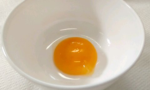 pittura tempera uovo